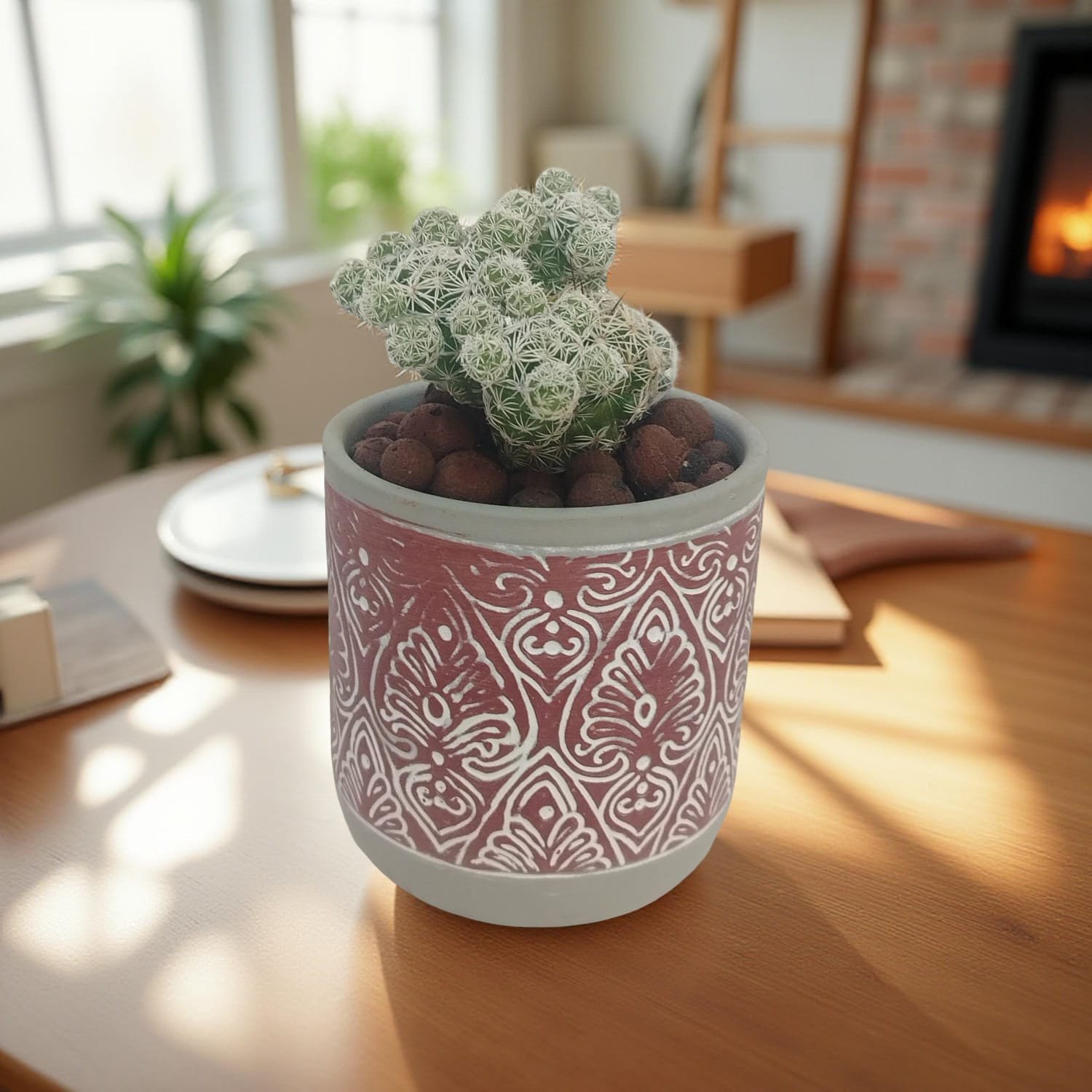 الصبار اللطيف  The Gentle Cactus