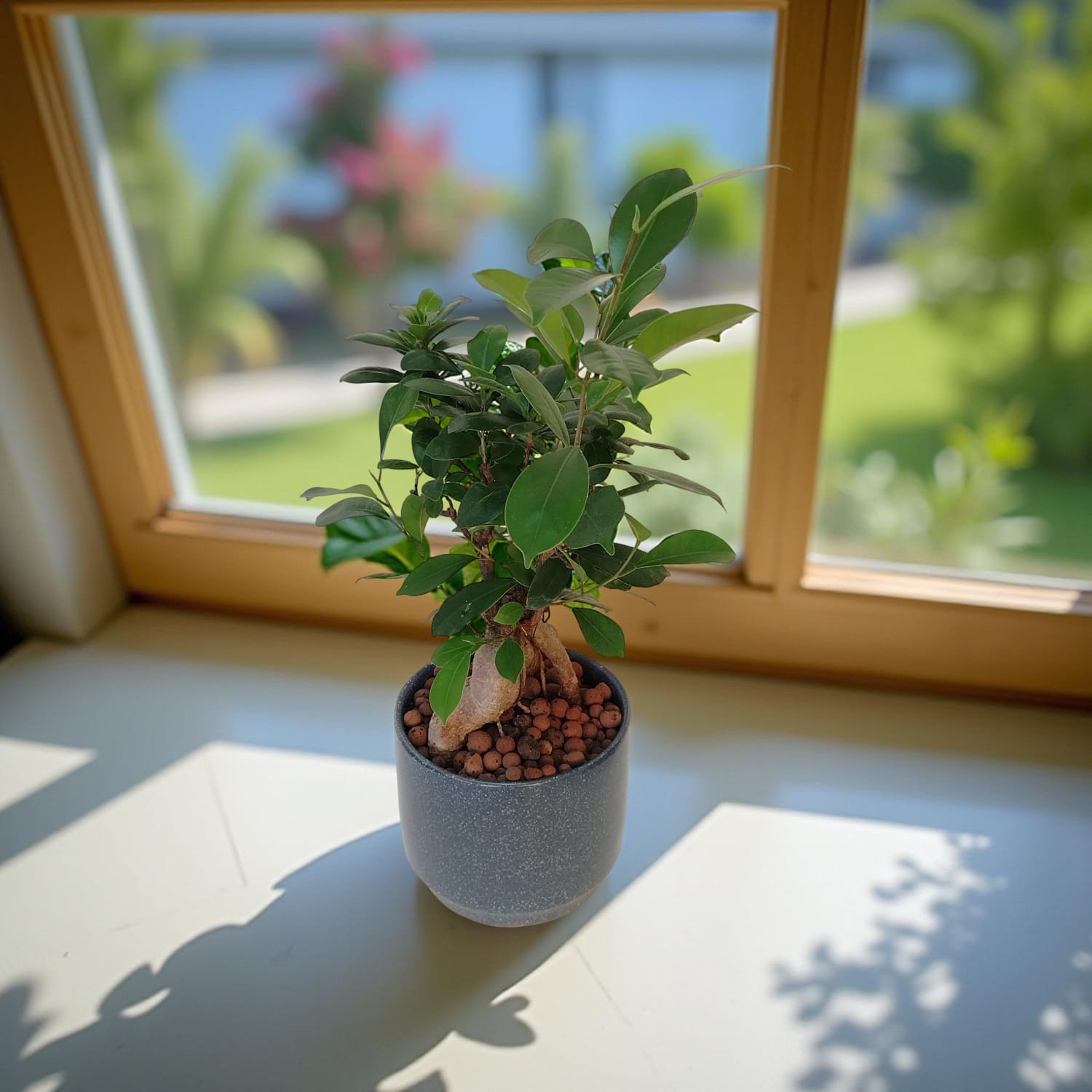 أركيديا جاردن بروداكتس Arcadia Garden Products