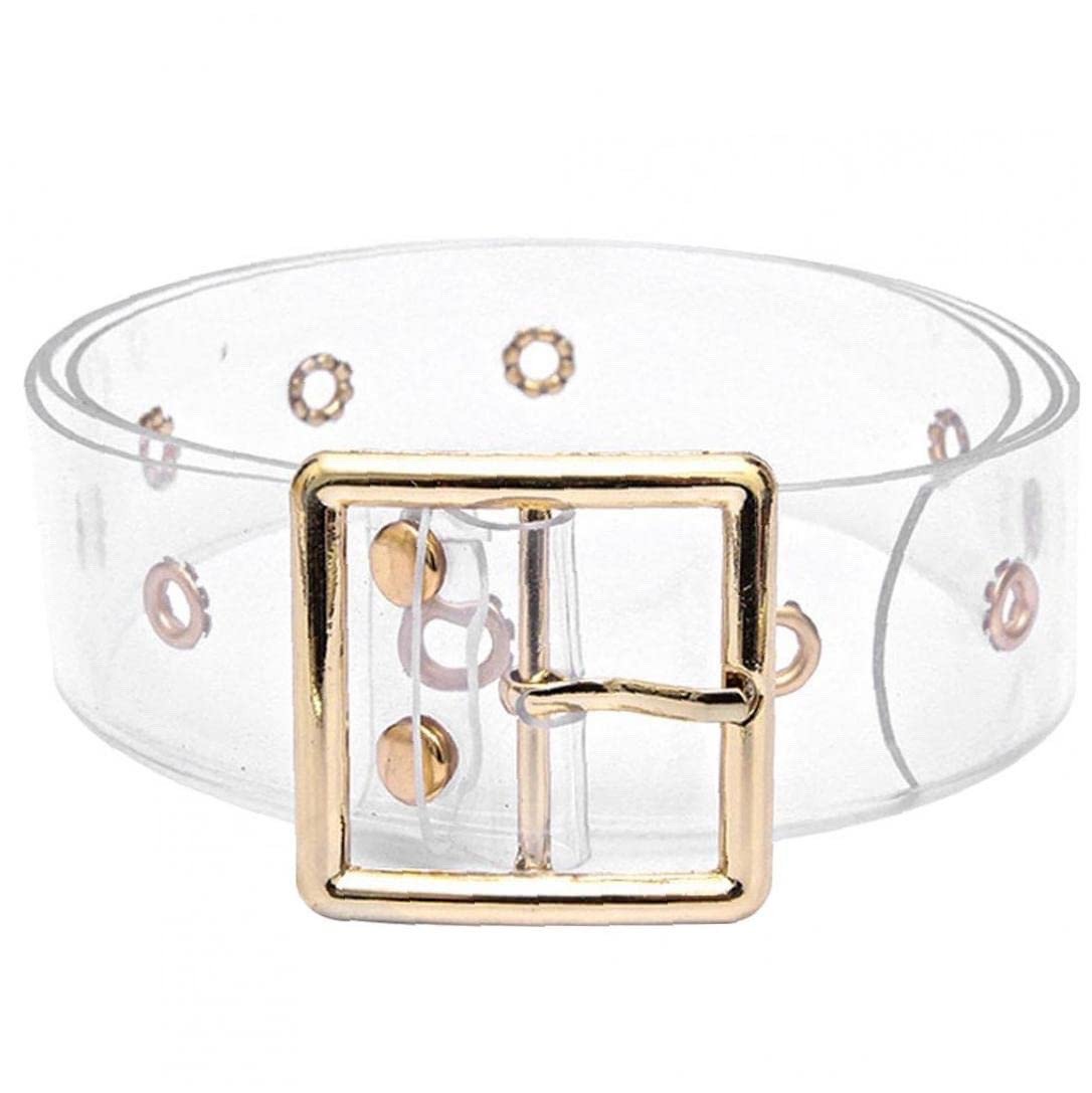 Transparent belt