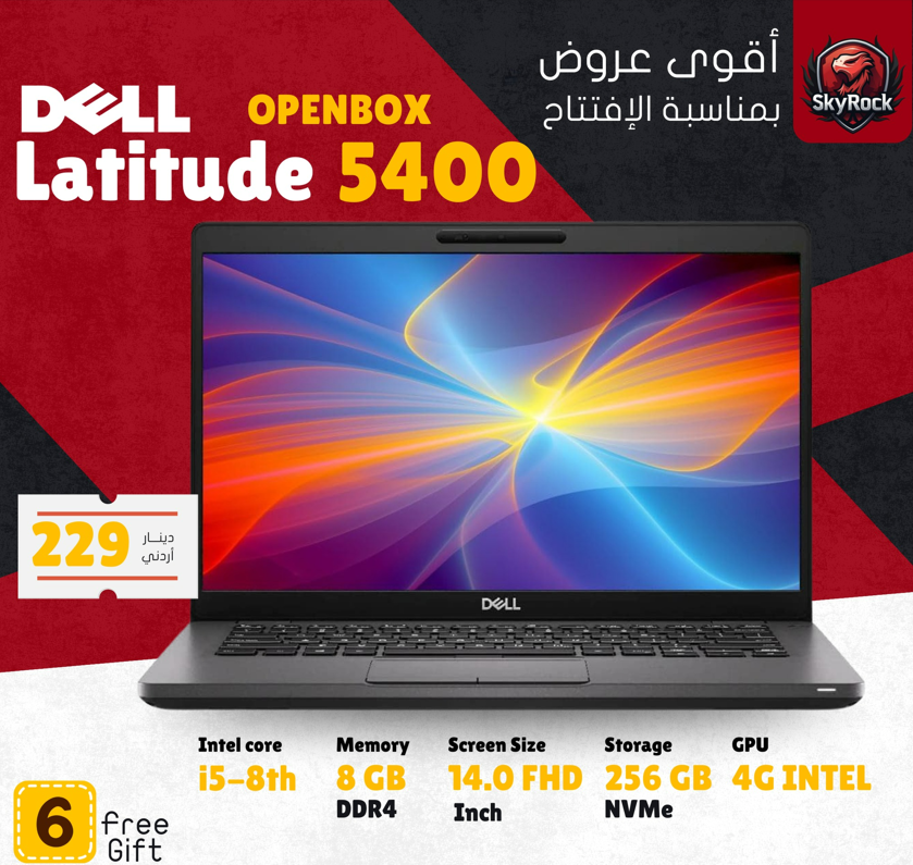 dell latitude