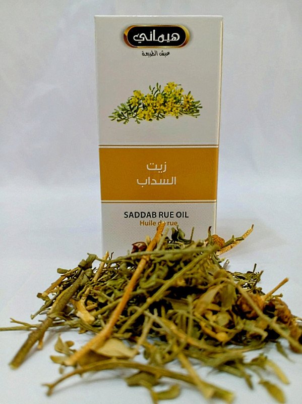 زيت السداب